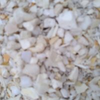 فروش‌پرک‌آسیابی‌pp‌ و ps مخلوط