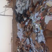 خریدار کارتن مشنبا