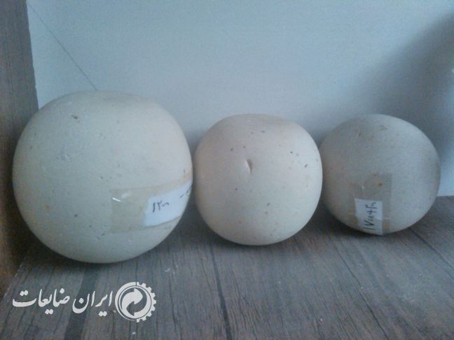 فروش گلوله بالمیل
