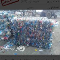 خرید پت زنده یا پرسی تحویل کازرون