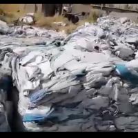 فروش جانبو پرسی