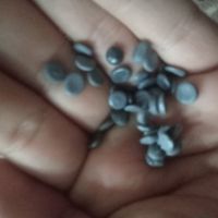 فروش گرانول طوسی عدسی هاش