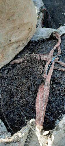 فروش سیم سوخته