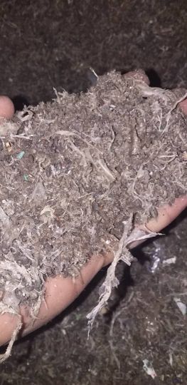 خرید کندر چهار رنگ و مشکی شسته شده یا نشده