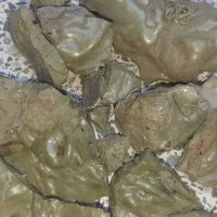 فروش بک فلش تناژ بالا