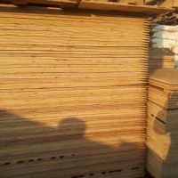 فروش سه لایی قالب بندی