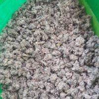 فروش کندر گونی
