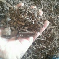 فروش آهن ضایعات ریز زنگ زده