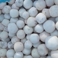 گلوله بالمیل آسیابی 92 درصد
