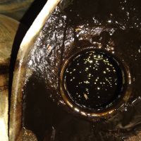 ضایعات مواد نفتی ماهوژنی اماده