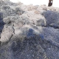فروش سوفاله ناخنی