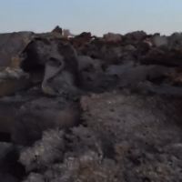 فروش خرسک ذوب اهن