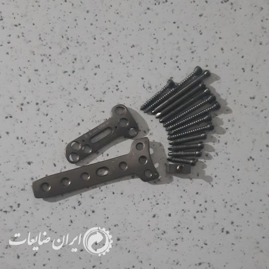 دو عدد پلاتین