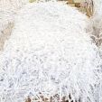 خریدار پوشال سفید کتاب کاغذ