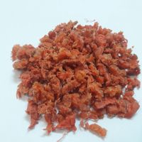EVA یی وی آ آسیابی