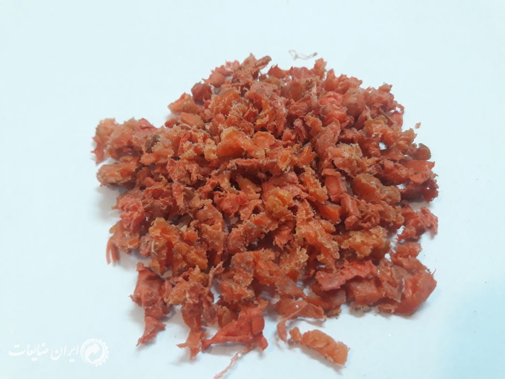 EVA یی وی آ آسیابی