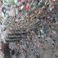 فروش پت پرسی درجه 1و2