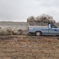 خرید پلاستیک گلخانه ای و پالتی