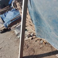 نوپان چهارتراش