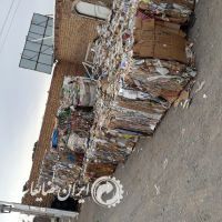 فروش کارتن پرسی
