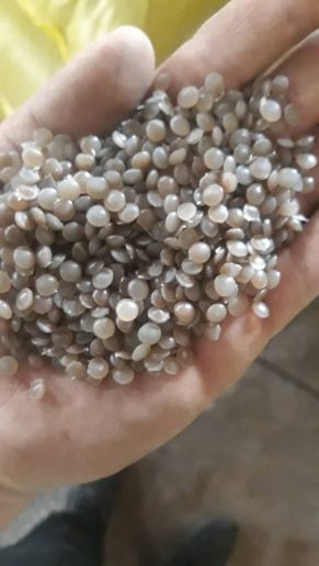 گرانول نایلون عسلی روشن