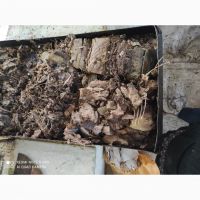 خرید ضایعات ماهی