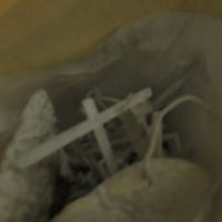 ای بی س زنده بار