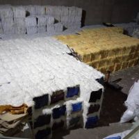 فروش انواع پوشال میوه و گراف ینگجه ای