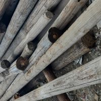 فروش تیر برق چوبی روسی