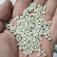 گرانول بادی بیرنگ راگا