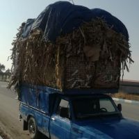 خریدار ضایعات کارتن و دفتر و کتاب