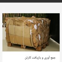 کارتن پرسی