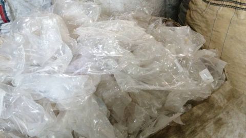 خریدار مشما پالتی تناژ