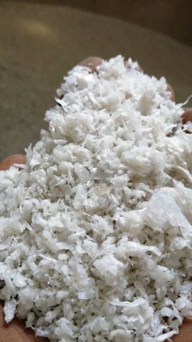 خریدار مشما پالتی تناژ