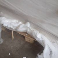 فروش پنبه نو