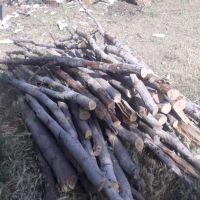 خرید ضایعات انواع چوب
