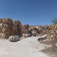 خریدار کارتن