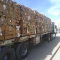 خرید کارتن فله ای