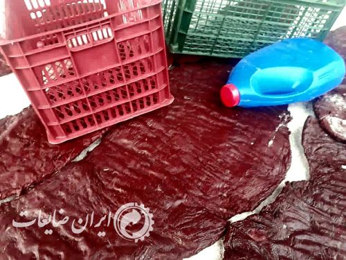 فروش قلمبه گونی