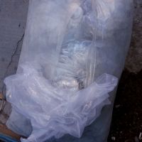 بار زنده نایلون سفید درجه یک