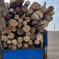 فروش چوب خشک ساختمانی
