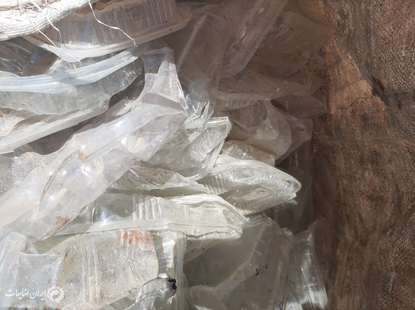 فروش پی وی سی زنده