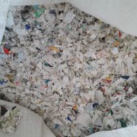 جاماستی آسیابی روآبی