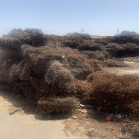 فروش سفاله پوشالی