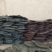 مواد اکسیدور