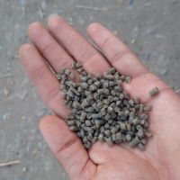 گرانول عسلی توری ۸۰