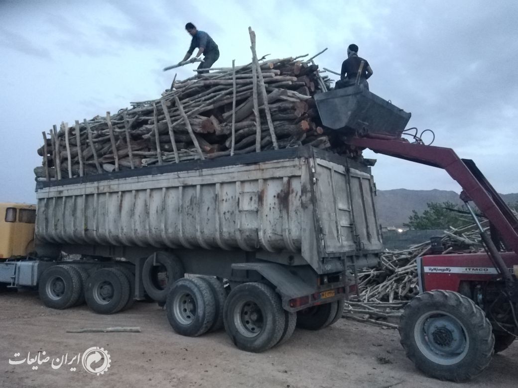 خرید انواع چوب هیزمی