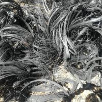 خرید سیم ریز و طوقه