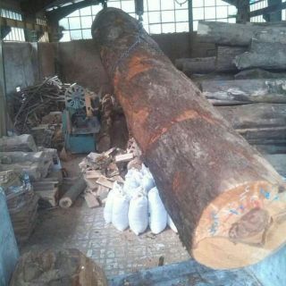 فروش چوب ابعادی