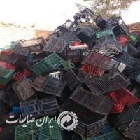 خریدار نقدی سبد زنده